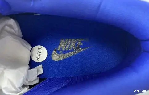 Low Blue and SB CU1726 Black Nike Dunk 006 0521